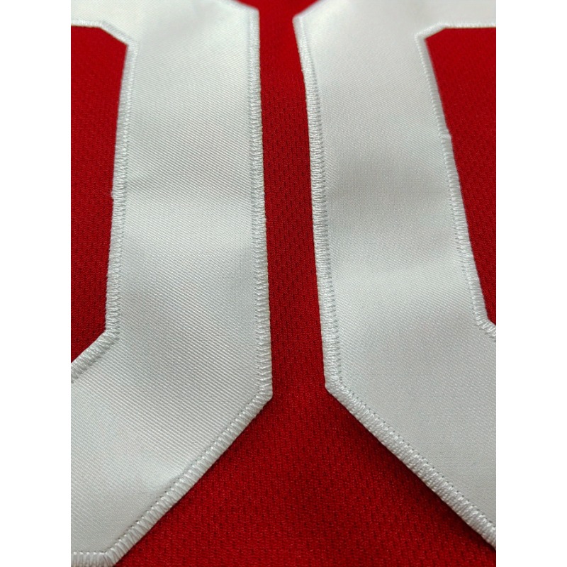 Customized Name and Number Bas - Embroidery Jersey 评论和价格